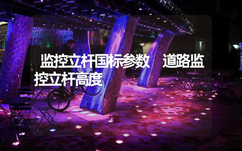 监控立杆国标参数 道路监控立杆高度